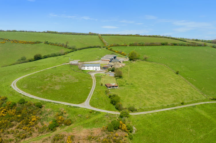 torre farm