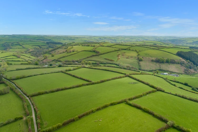 torre farm