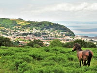 Doubt over cliff stabilisation plan