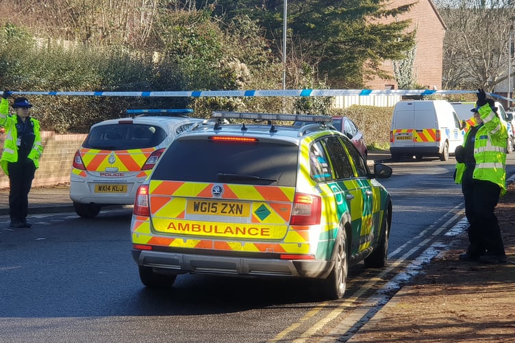 Wellington police murder Jurston Lane