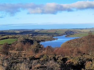 Act quicker to save water, says MP