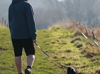 Warning issued to dog walkers in the Quantock Hills