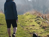 Warning issued to dog walkers in the Quantock Hills
