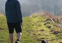 Warning issued to dog walkers in the Quantock Hills