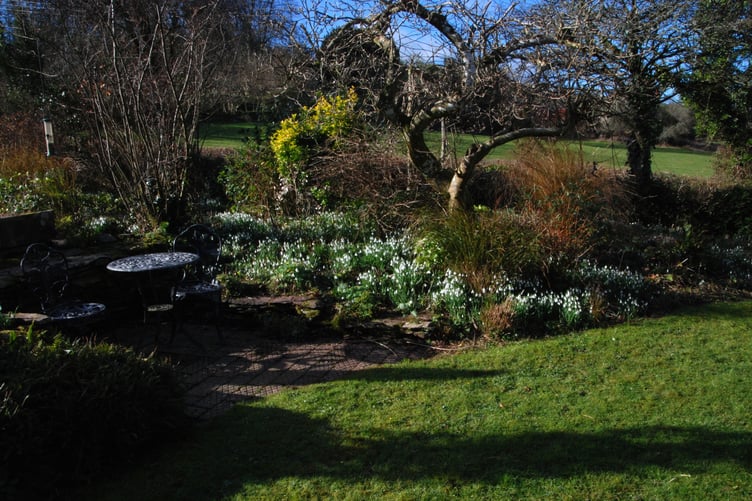 Elworthy Cottage
