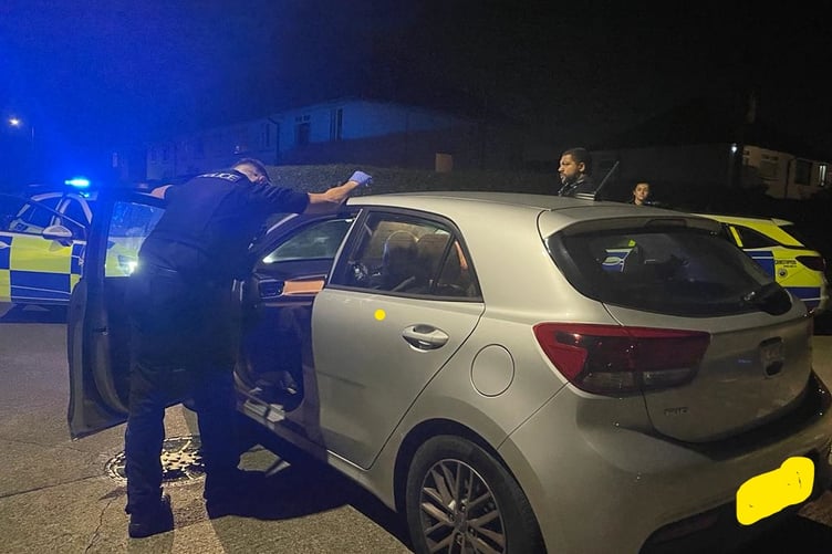 Police stop and question a motorist