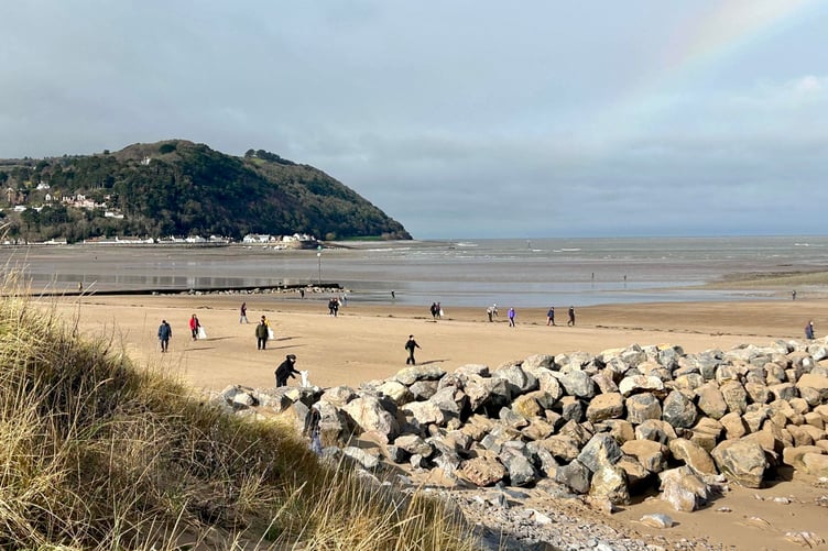Volunteers taking part in the beach clean