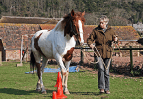 Wildlife sanctuary to close after death