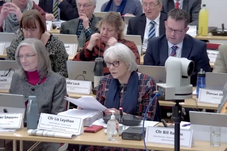 Deputy leader Liz Leyshon introduces the budget