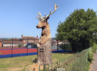 OPINION: Stag's head sculpture needs to be looked after