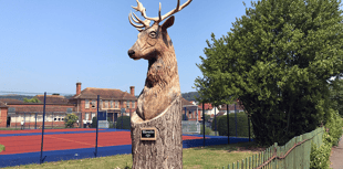 OPINION: Stag's head sculpture needs to be looked after