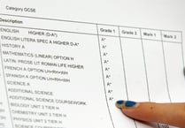 More than one in 20 Somerset West and Taunton workers have no qualifications