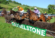 Cothelstone point to point on this Saturday