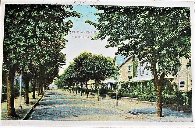Postcard of The Avenue, Minehead, at the start of the last century