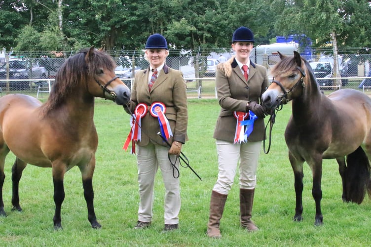 Exmoor Pony Q cryogenics gene bank Sandy Wooderson Madeline Haynes