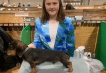 Schoolgirl's dachshund takes Crufts award