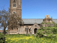 Using churchyards for wildlife