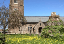 Using churchyards for wildlife
