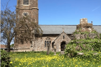 Carhampton St John the Baptist Church wildflower meadow wildlife Somerset Wildlife Trust