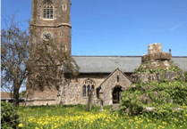 Using churchyards for wildlife