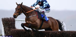 Pipe pulls Remastered out of the Grand National