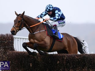 Pipe pulls Remastered out of the Grand National