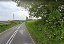 Fallen tree forces A39 to close by Quantox Head 
