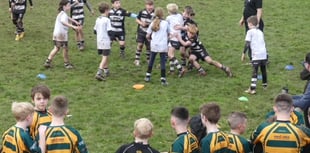 Hundreds in tournament