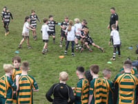 Hundreds in tournament