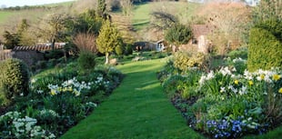 A cottage garden to visit on Easter Monday 
