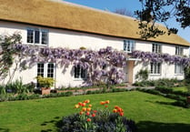 Great Somerset gardens to visit this Summer 