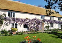 Great Somerset gardens to visit this Summer 