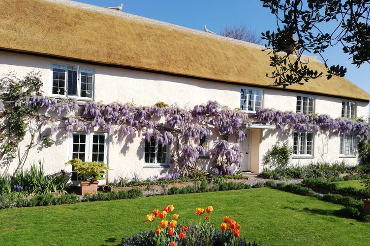 Arden Cottage is one of many gardens opening to the public this Summer in aid of St Margaret's Hospice