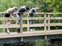 Have modern children lost the close relationship with nature?