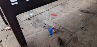 Residents step into dog mess row at Blenheim Gardens 