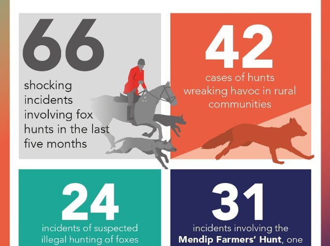 A League Against Cruel Sports infographic