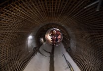 Final debate on Hinkley fish deterrents