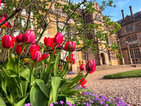 Somerset attractions a riot of colour for bank holiday