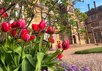 Somerset attractions a riot of colour for bank holiday