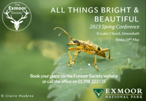 Exploring Exmoor's natural wonders