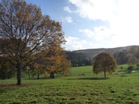 Two million Exmoor trees are mapped