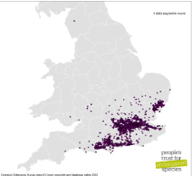 A map showing stag beetle distribution records from the ‘Great Stag Hunt 2022’.