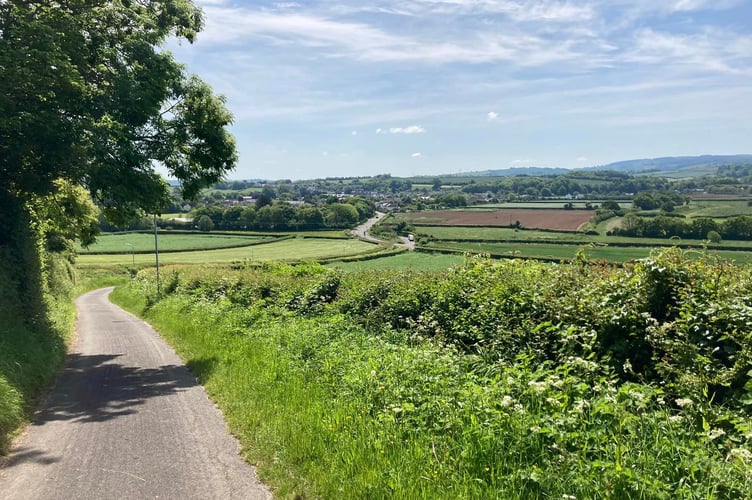 View of Williton from Copse Grove - Daniel Mumby