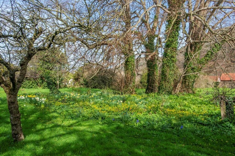 allersford