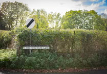 'Somerset Gimp' accused appears in court