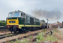 Diesel gala is a hot success