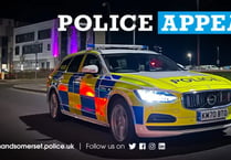 Police appeal after shotgun cartridge launched at pedestrian