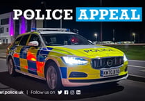 Police appeal after shotgun cartridge launched at pedestrian