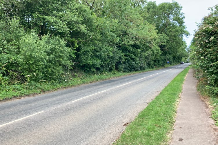 Proposed site of 60 homes on the A39 Hopcott Road in Minehead - Daniel Mumby 
