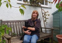 Can you help Pam avoid becoming homeless?